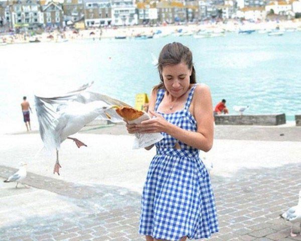 животные ненавидят женщин, животные против женщин