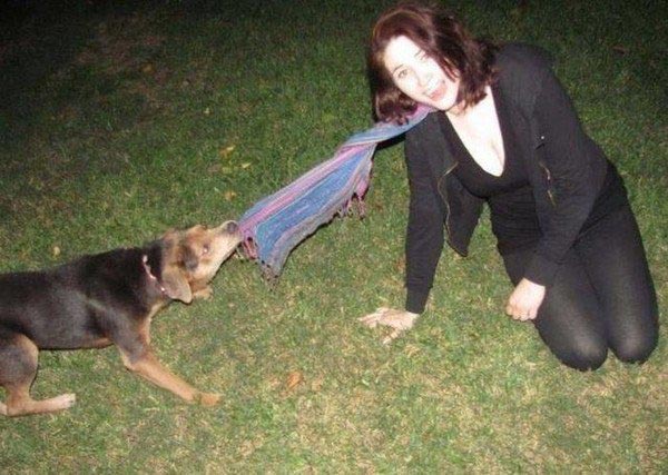 животные ненавидят женщин, животные против женщин