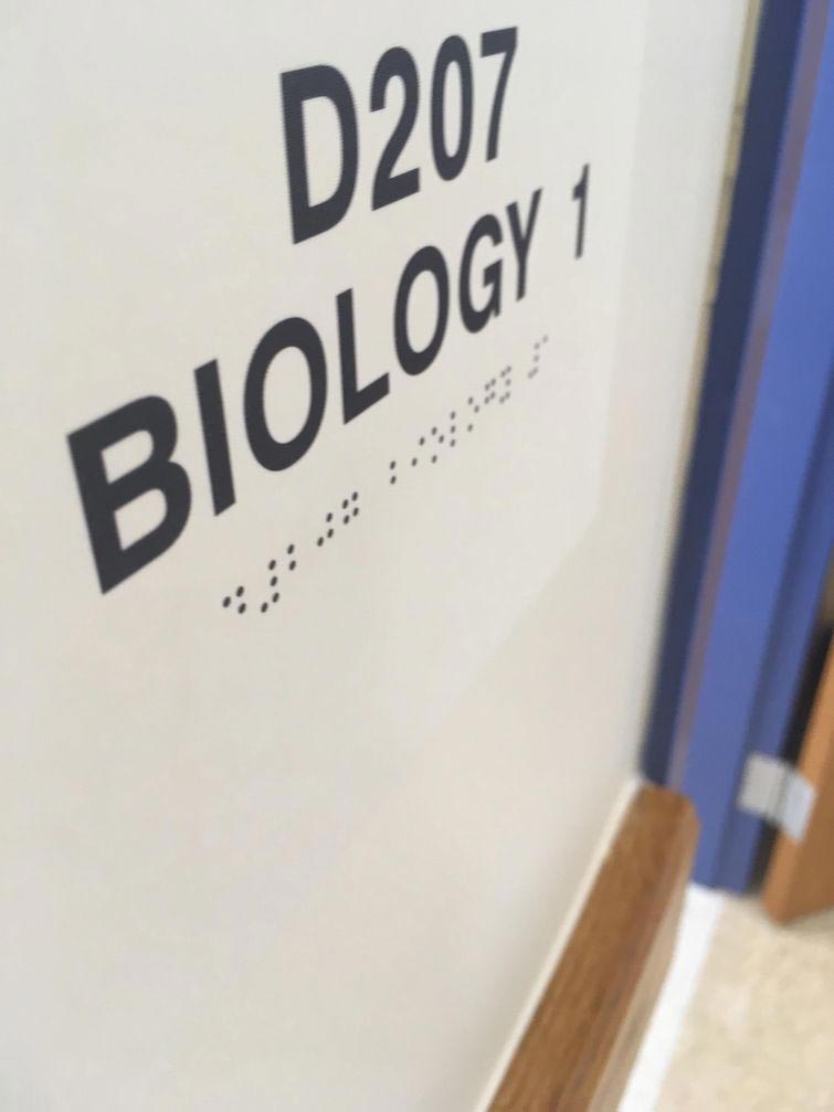 смешной дизайн, провалы в дизайне, нелепый дизайн, ужасный дизайн