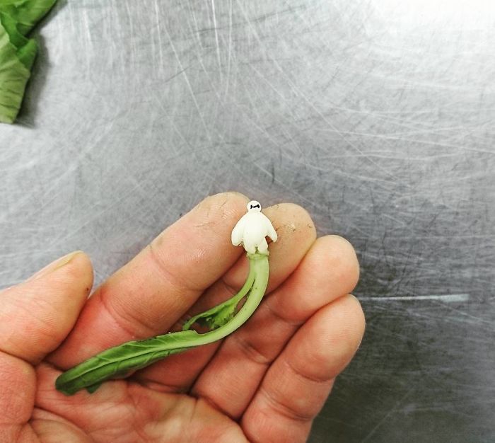 Японский художник вырезает узоры на овощах и фруктах, карвинг,  японский художник Гаку