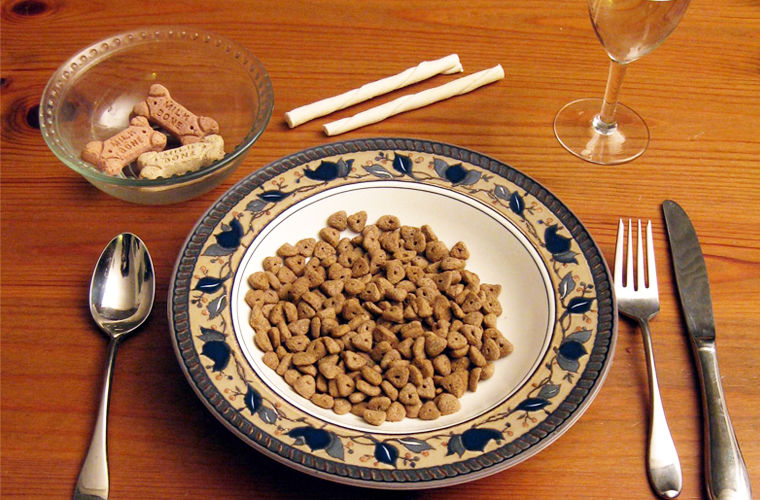 Ловцы айсбергов, хранители ворон, редкие профессии, странные профессии 