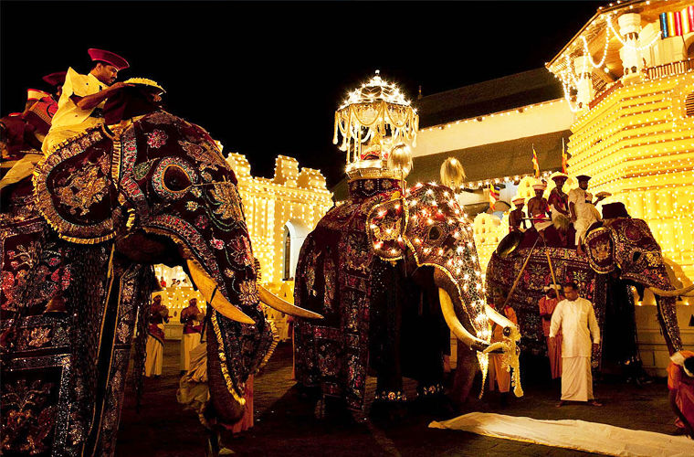 Ловцы айсбергов, хранители ворон, редкие профессии, странные профессии 