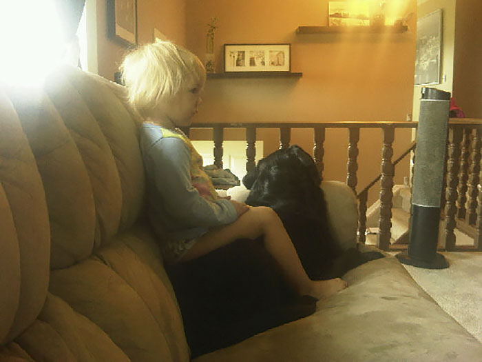 собака и маленький ребёнок, сестра посоветовала не заводить собаку