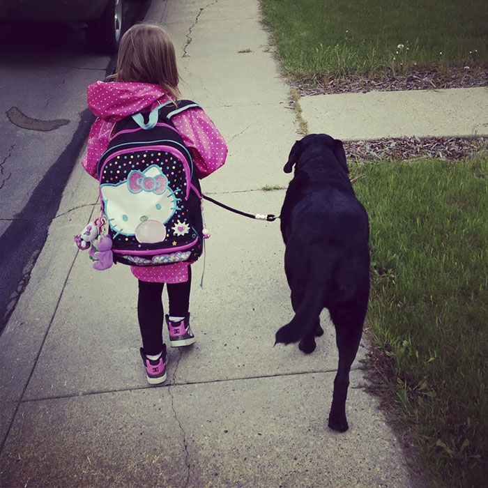 собака и маленький ребёнок, сестра посоветовала не заводить собаку