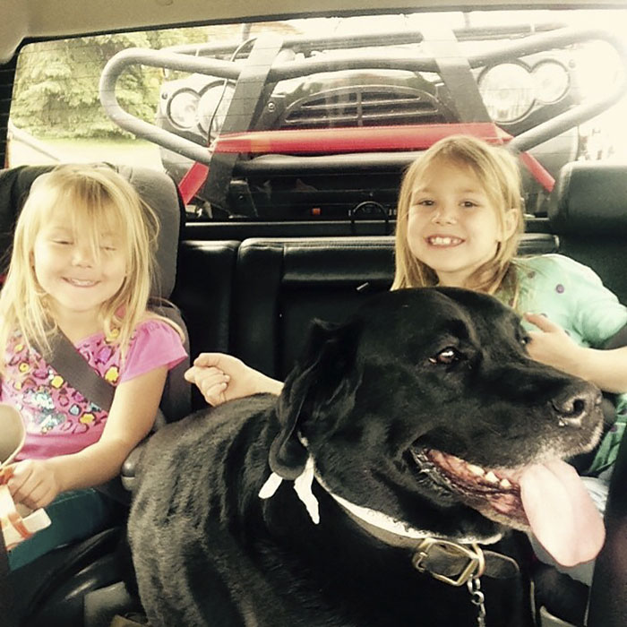 собака и маленький ребёнок, сестра посоветовала не заводить собаку