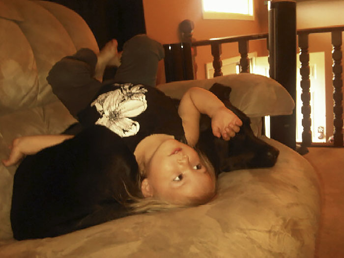 собака и маленький ребёнок, сестра посоветовала не заводить собаку