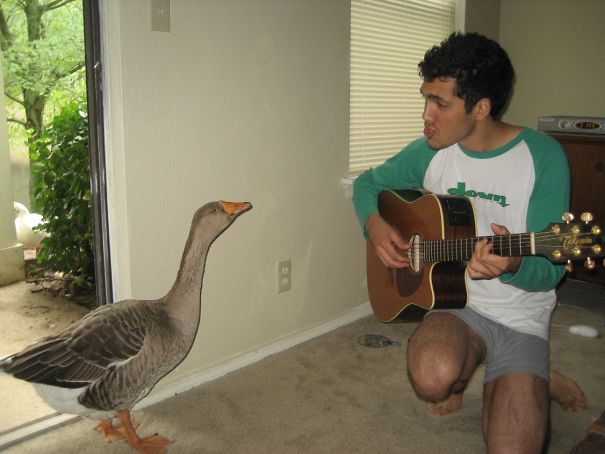 Я проснулся и увидел это, смешные истории из жизни