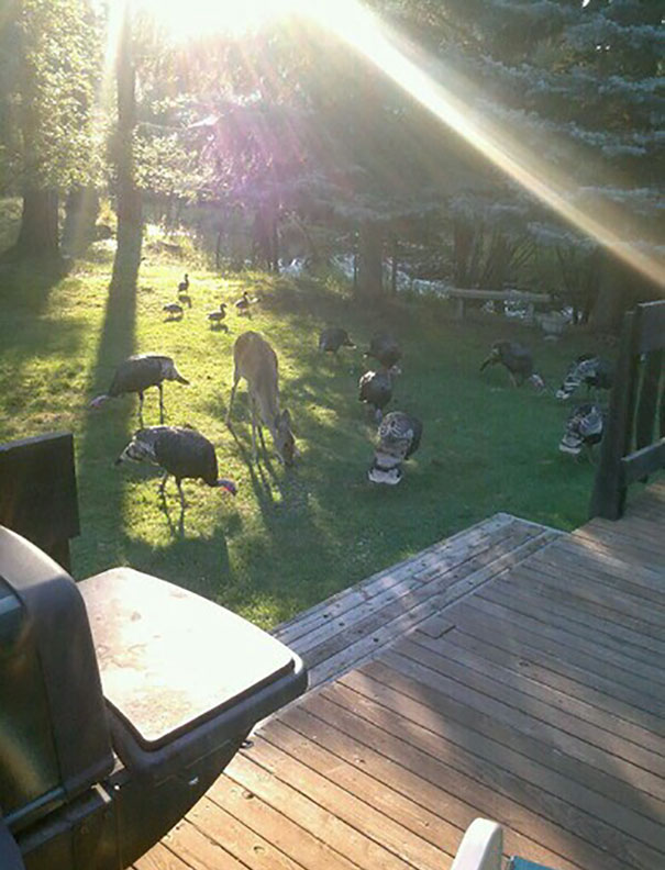 Я проснулся и увидел это, смешные истории из жизни