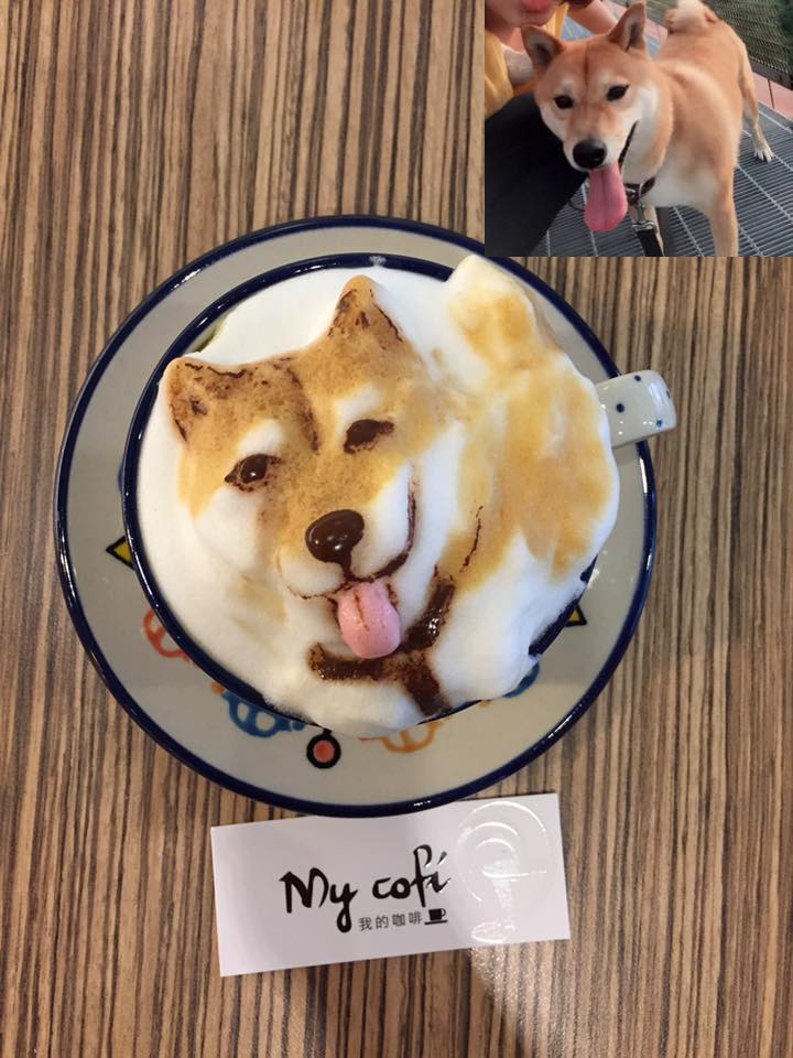 таракан кофе,рисунки молочная пена скульптуры из молочной пены пены