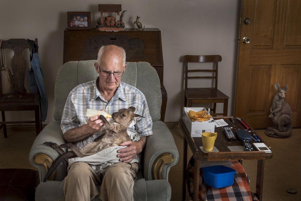 National Geographic за январь 2017, Лучшие фотографии  от National Geographic 