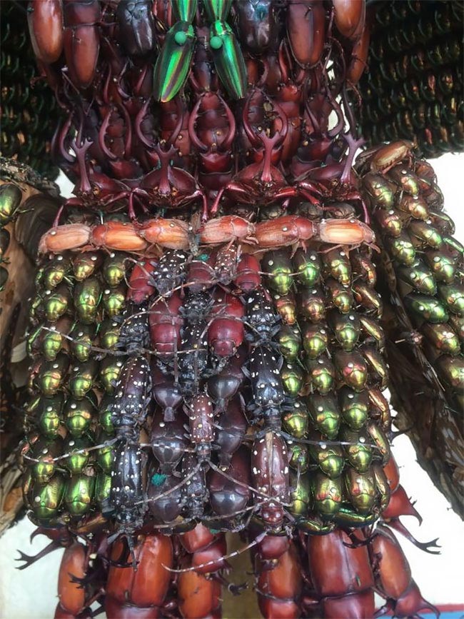 статуи из тысяч мёртвых жуков, скульптуры из тысяч мёртвых жуков, Йонджи Инамура, Yoneji Inamura