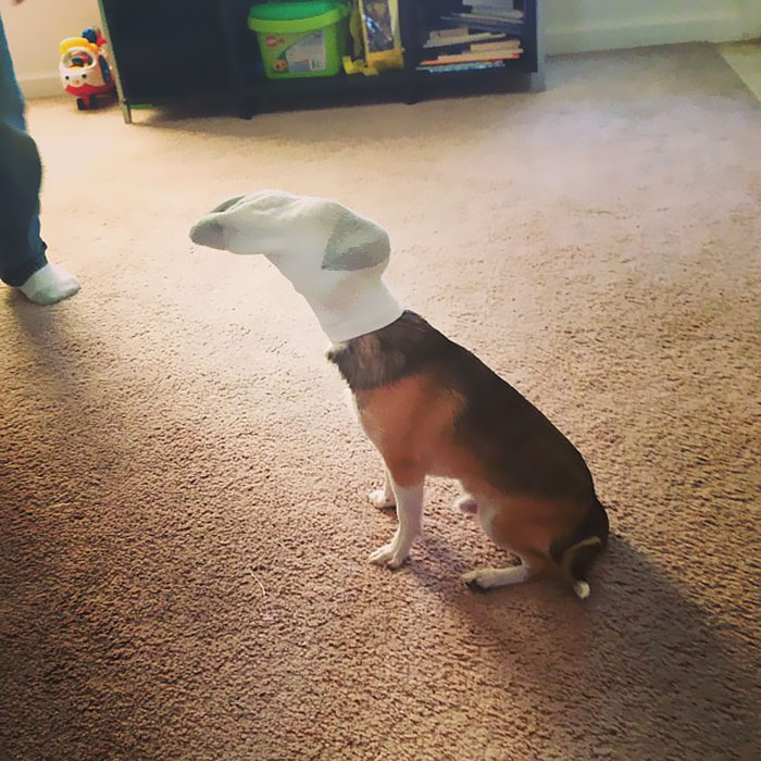 не оставляйте детей одних, что произойдёт если оставить детей без присмотра