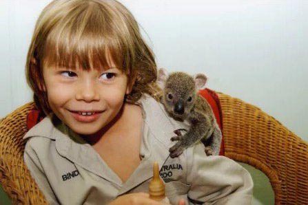 Бинди Ирвин, дочь охотника за крокодилами, дочь Стива Ирвина, как сейчас выглядит Бинди Ирвин