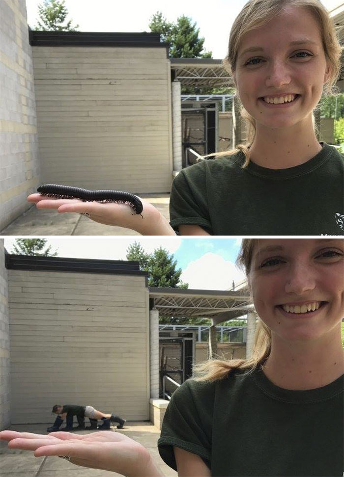  у работников зоопарка слишком много свободного времени, работники зоопарка пародируют животных