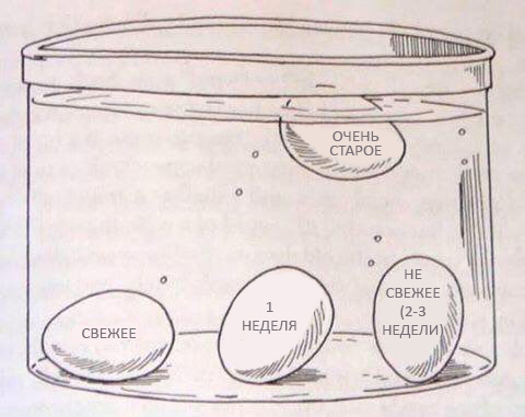 гениальные лайфхаки, лайфхаки для повседневной жизни, полезные лайфхаки, лайфхаки на лето