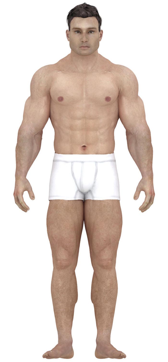 идеалы мужского тела на протяжении истории,  идеалы мужского тела в разные времена