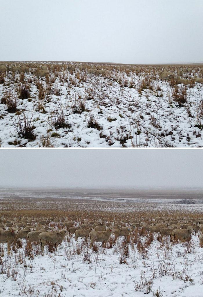 люди случайно слились со своим окружением, забавные совпадения