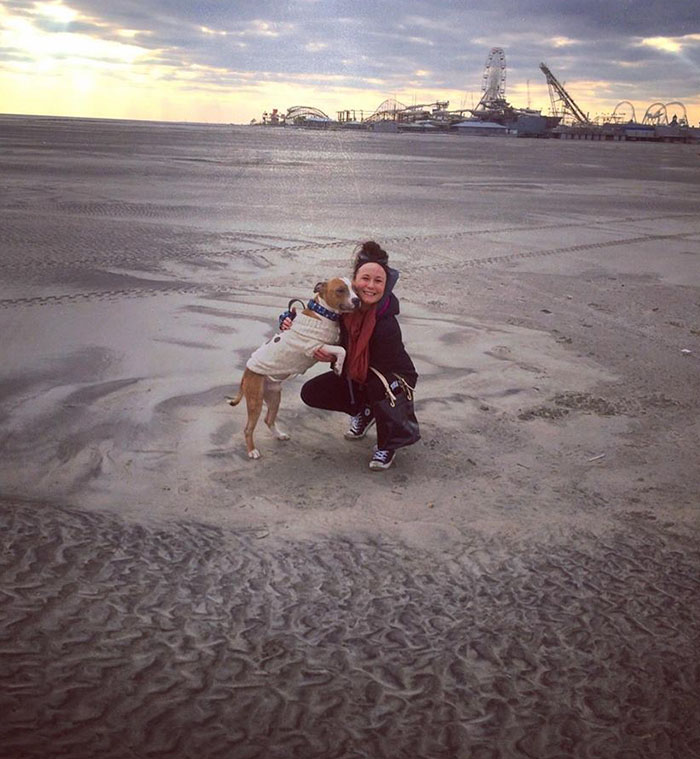 Девушка забрала из приюта питбуля, спасённый питбуль не перестаёт обниматься, питбуль Расс