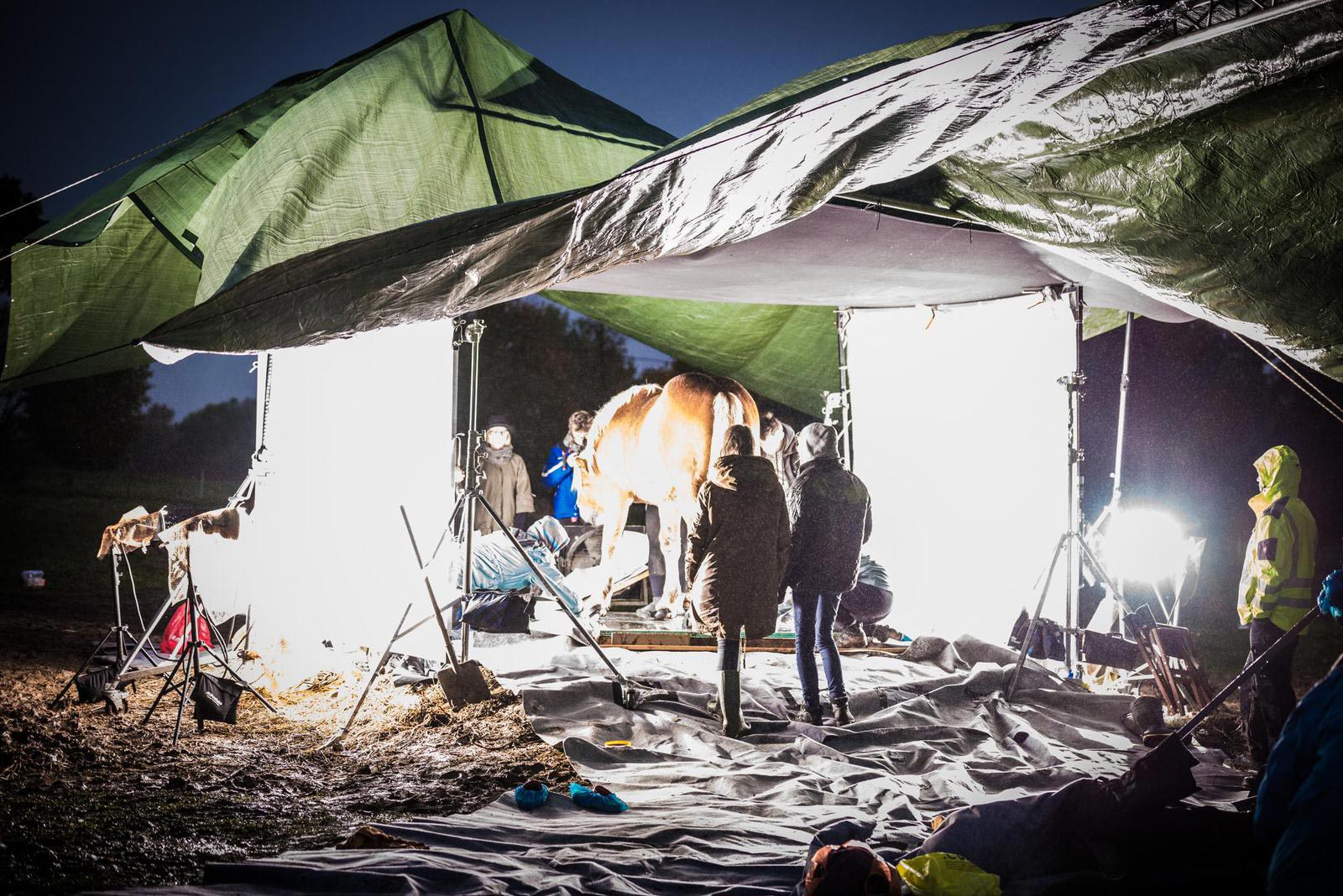 как выглядят лошади снизу, Андриус Бурба, Andrius Burba, Under-Horse, 