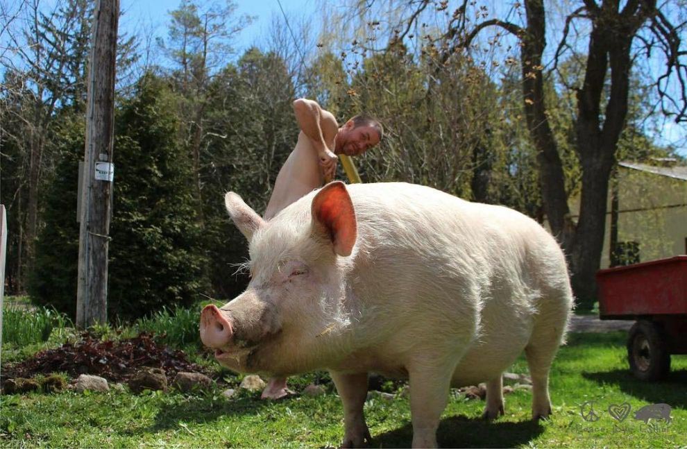 Всемирный день голого садовода, World Naked Gardening Day