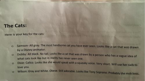 Владелец котов, оставил самое смешное описание своих питомцев для того, кто за ними будет присматривать смешное описание кошек, смешное описание котов для присмотра