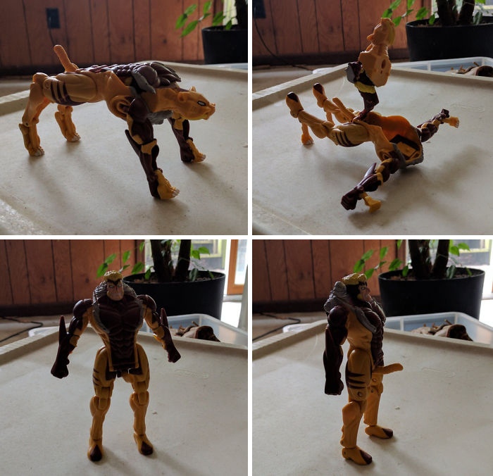 худший дизайн, безумные дизайнерские решения