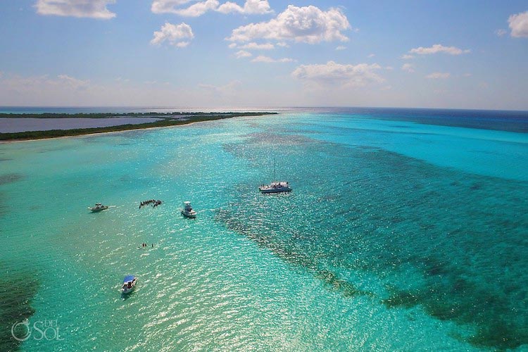 свадьба посреди океана, свадьба по пояс в воде