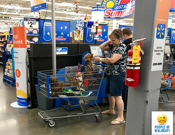 people of walmart, странные американцы, наряды посетителей американских супермаркетов