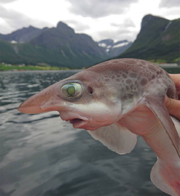 природа пугает, ужасы природы