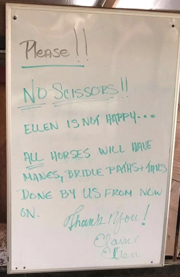 смешная стрижка лошади, ужасная стрижка лошади, подстриг лошадь, чёлка у лошади