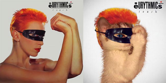 кошки вместо музыкантов на обложках, обложки музыкальных альбомов кошки, кошки вместо знаменитостей, животные знаменитости