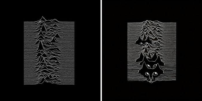 кошки вместо музыкантов на обложках, обложки музыкальных альбомов кошки, кошки вместо знаменитостей, животные знаменитости