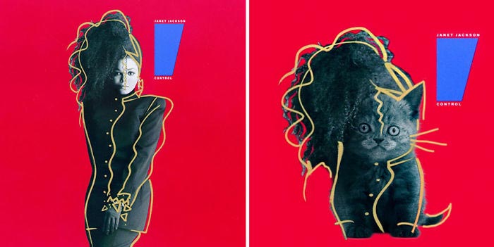 кошки вместо музыкантов на обложках, обложки музыкальных альбомов кошки, кошки вместо знаменитостей, животные знаменитости