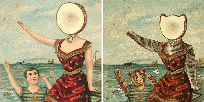 кошки вместо музыкантов на обложках, обложки музыкальных альбомов кошки, кошки вместо знаменитостей, животные знаменитости