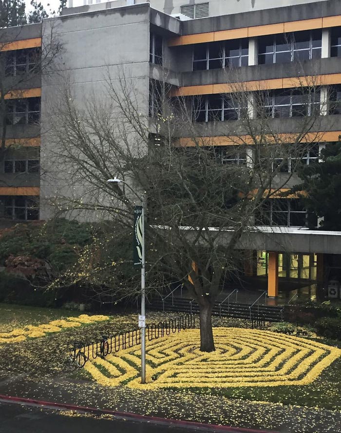 ленд-арт, узоры из опавших листьев, рисунки из опавших листьев