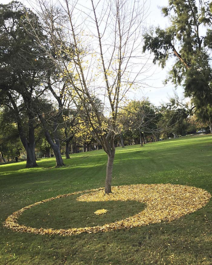 ленд-арт, узоры из опавших листьев, рисунки из опавших листьев