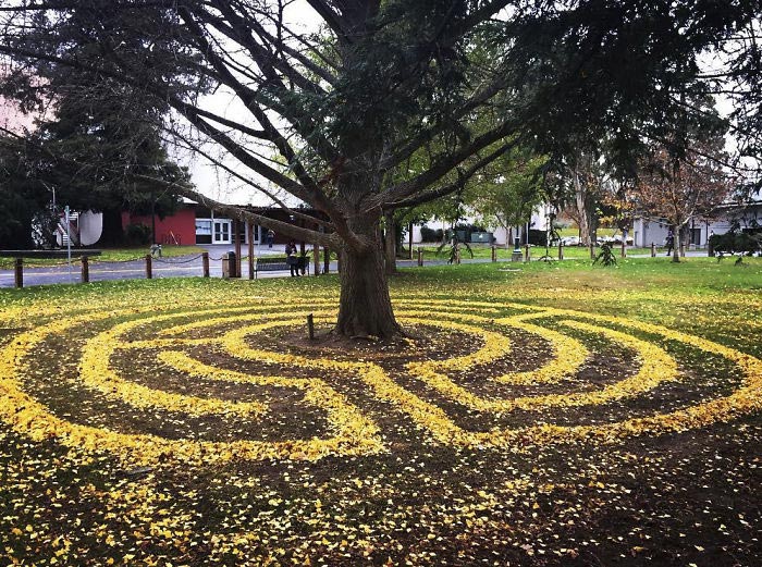 ленд-арт, узоры из опавших листьев, рисунки из опавших листьев