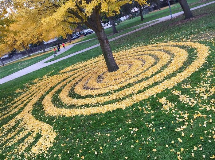 ленд-арт, узоры из опавших листьев, рисунки из опавших листьев