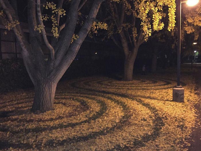 ленд-арт, узоры из опавших листьев, рисунки из опавших листьев