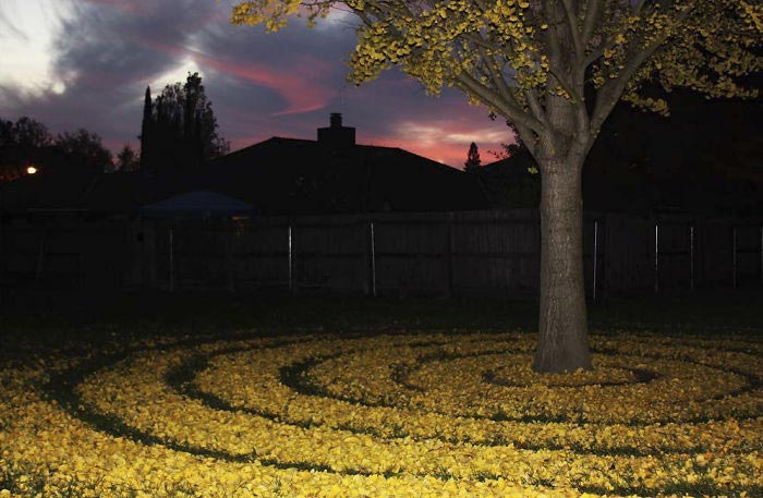 ленд-арт, узоры из опавших листьев, рисунки из опавших листьев