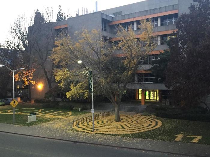 ленд-арт, узоры из опавших листьев, рисунки из опавших листьев