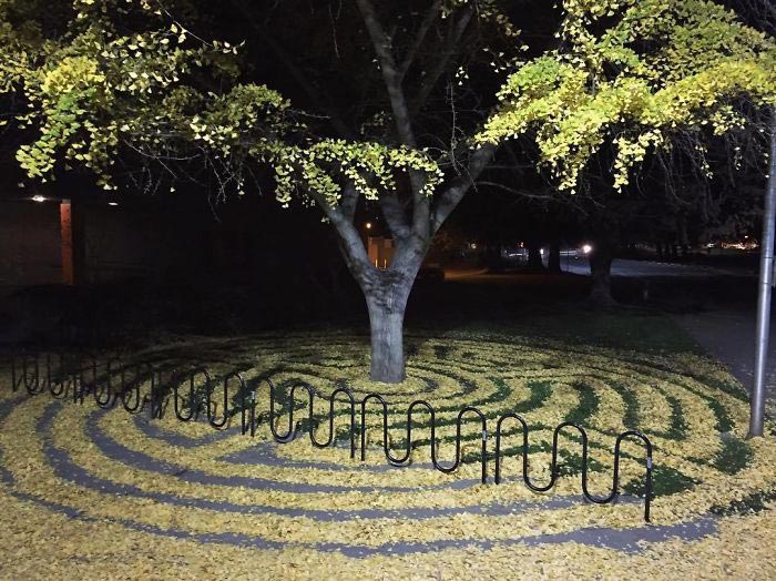 ленд-арт, узоры из опавших листьев, рисунки из опавших листьев