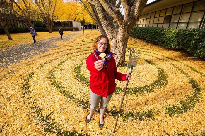 ленд-арт, узоры из опавших листьев, рисунки из опавших листьев