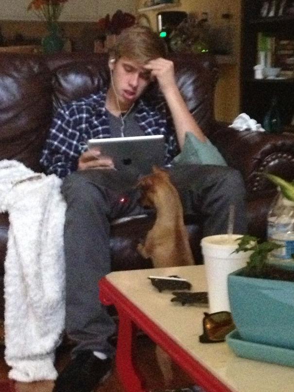 за секунду до катастрофы, фотографии сделанные в нужный момент 