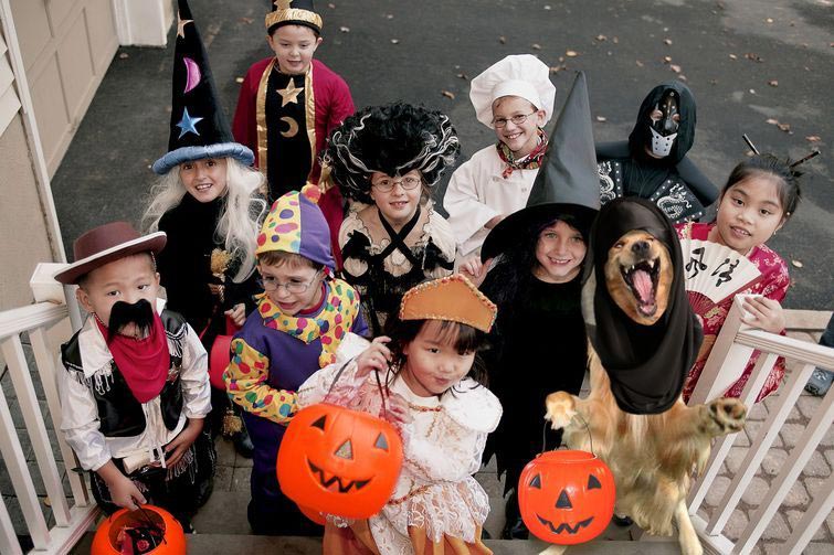 улыбающаяся собака битва фотошоперов, битва фотошоперов собака