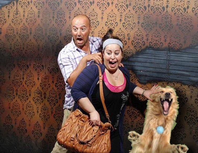 улыбающаяся собака битва фотошоперов, битва фотошоперов собака