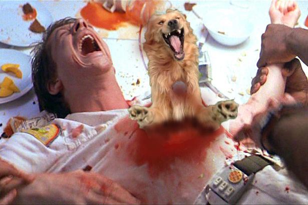 улыбающаяся собака битва фотошоперов, битва фотошоперов собака