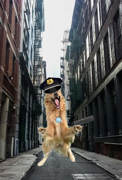 улыбающаяся собака битва фотошоперов, битва фотошоперов собака