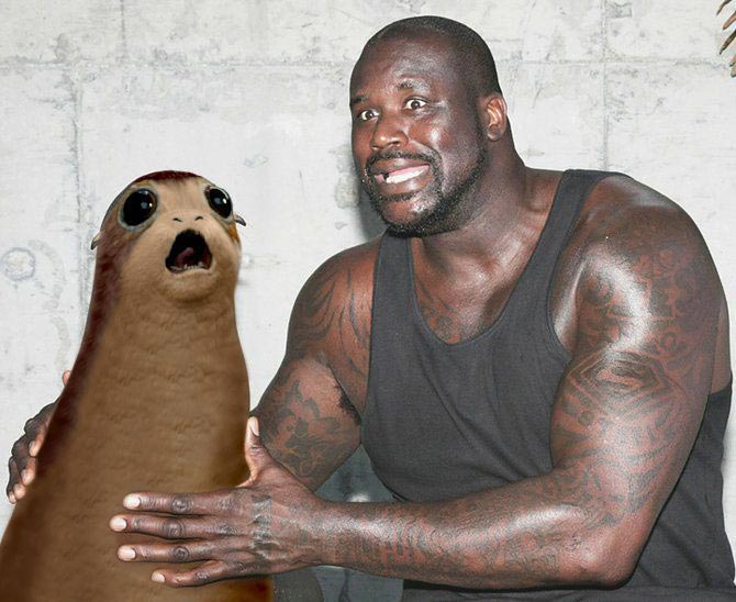 порг, порг трейлер звёздных войн, зверёк из трейлера звёздные войны, порг что это такое