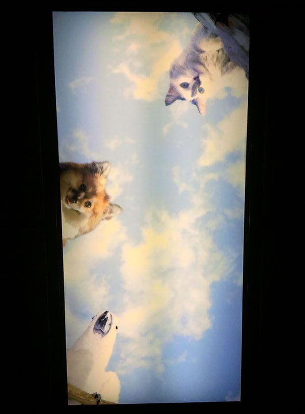 25 весёлых стоматологов, доказавших, что у них тоже есть чувство юмора стоматологи приколы,приколы со стоматологами, стоматологи смешное, смешные ситории стоматологи